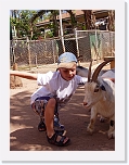With the Goat (1) * 576 x 768 * (100KB)